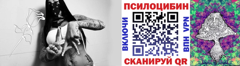Купить где  Светогорск  Псилоцибиновые грибы Magic Shrooms 